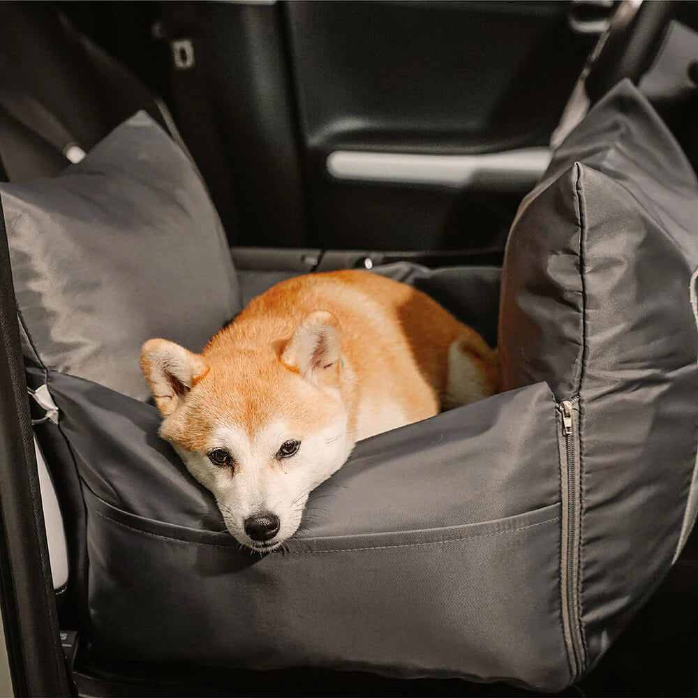 Bilen seng for hund: Komfort og sikkerhet under transport