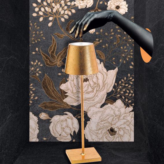 מנורת LED נטענת ללא חוטים: Elegance and freedom of lighting!