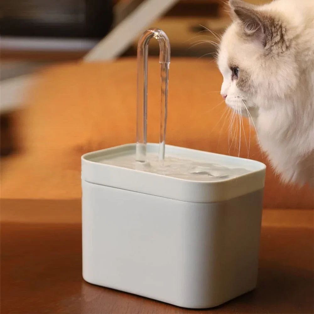 Vandfontæne til optimal hydrering af din kat