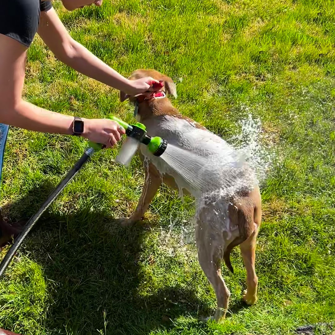 Gemakkelijke en snelle reinigingsspray voor dieren 