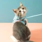 Comfortable and secure cat harness - Ideal for outings 