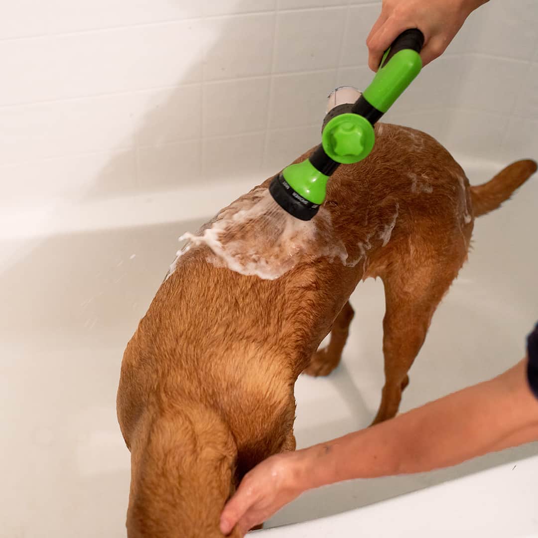 Nem og hurtig rengøringsspray til kæledyr 