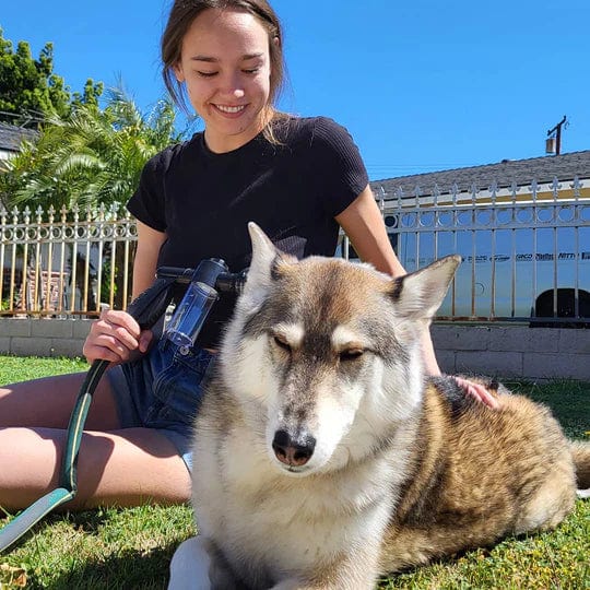 CaniShower Pro - High Performance Canine Bathing System